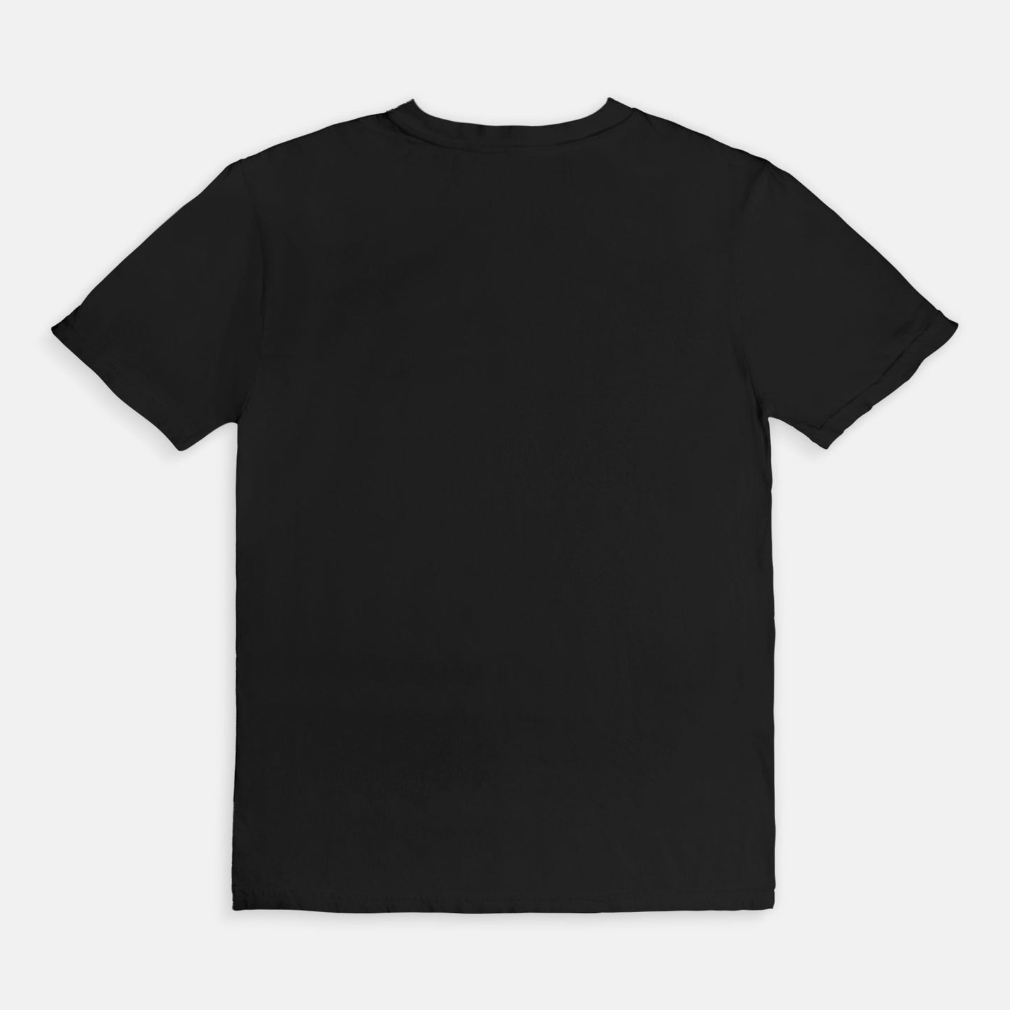 WTB Rebel Bike Rally Tee