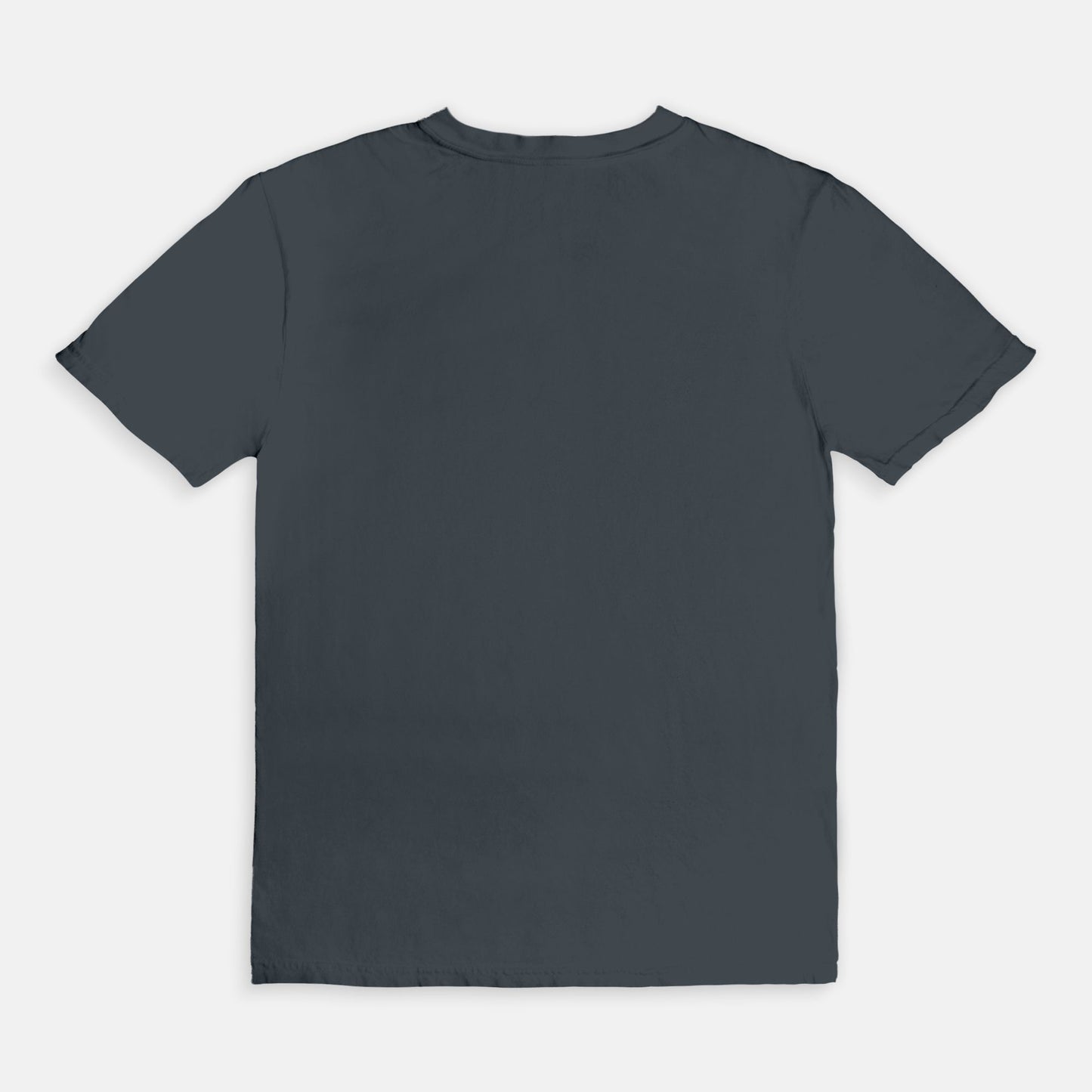 WTB Rebel Bike Rally Tee