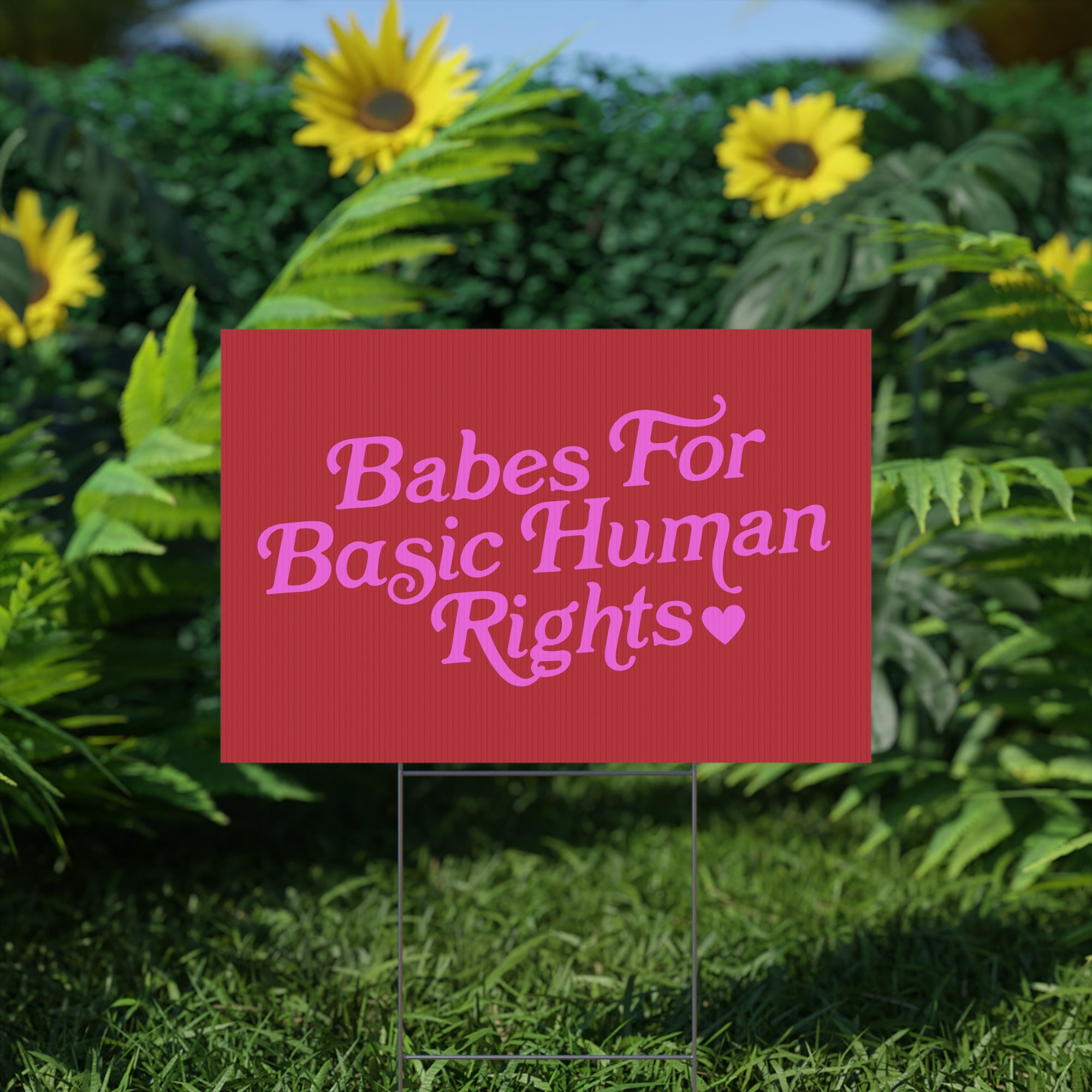 babes for basic sign