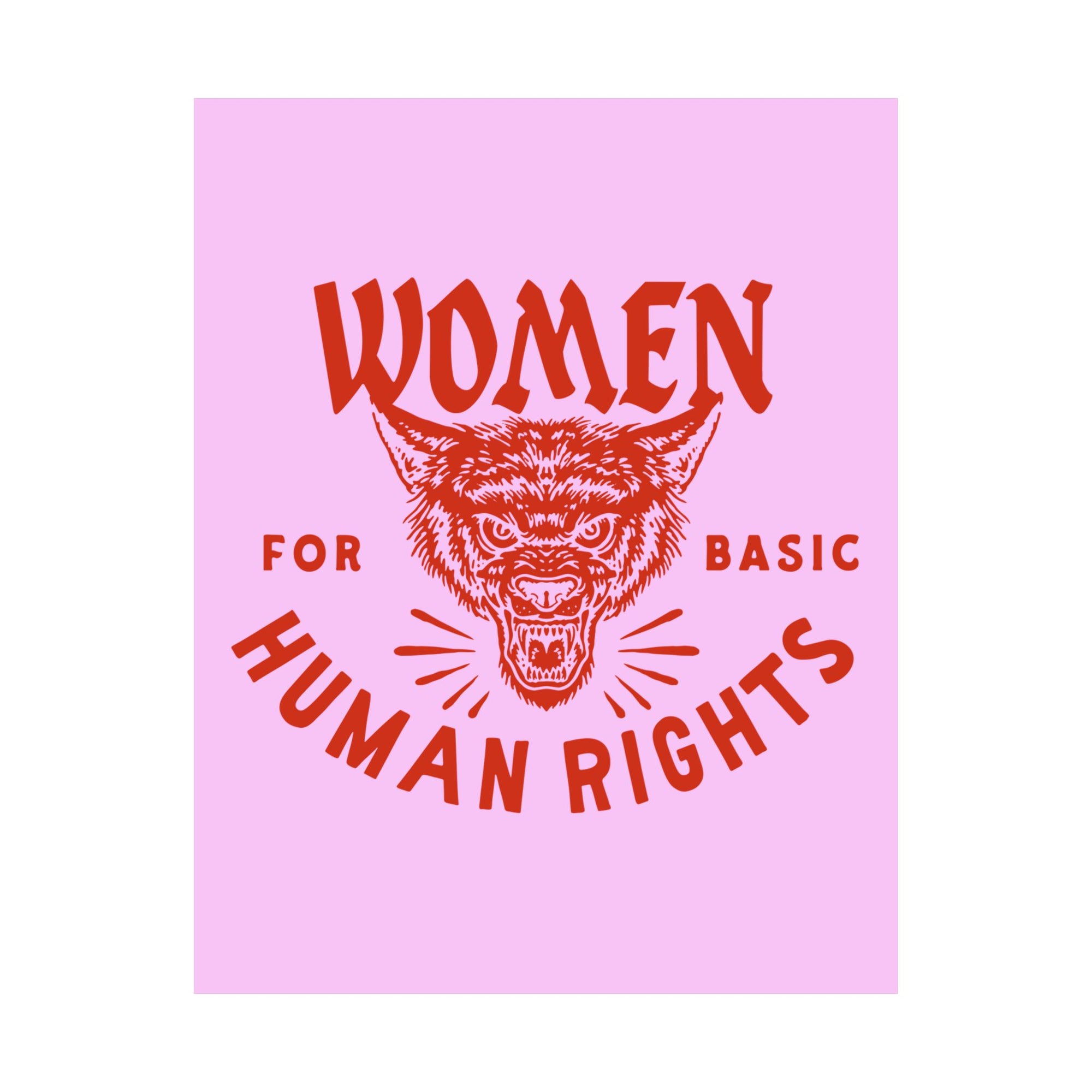 Women For Basic Human Rights Matte Poster