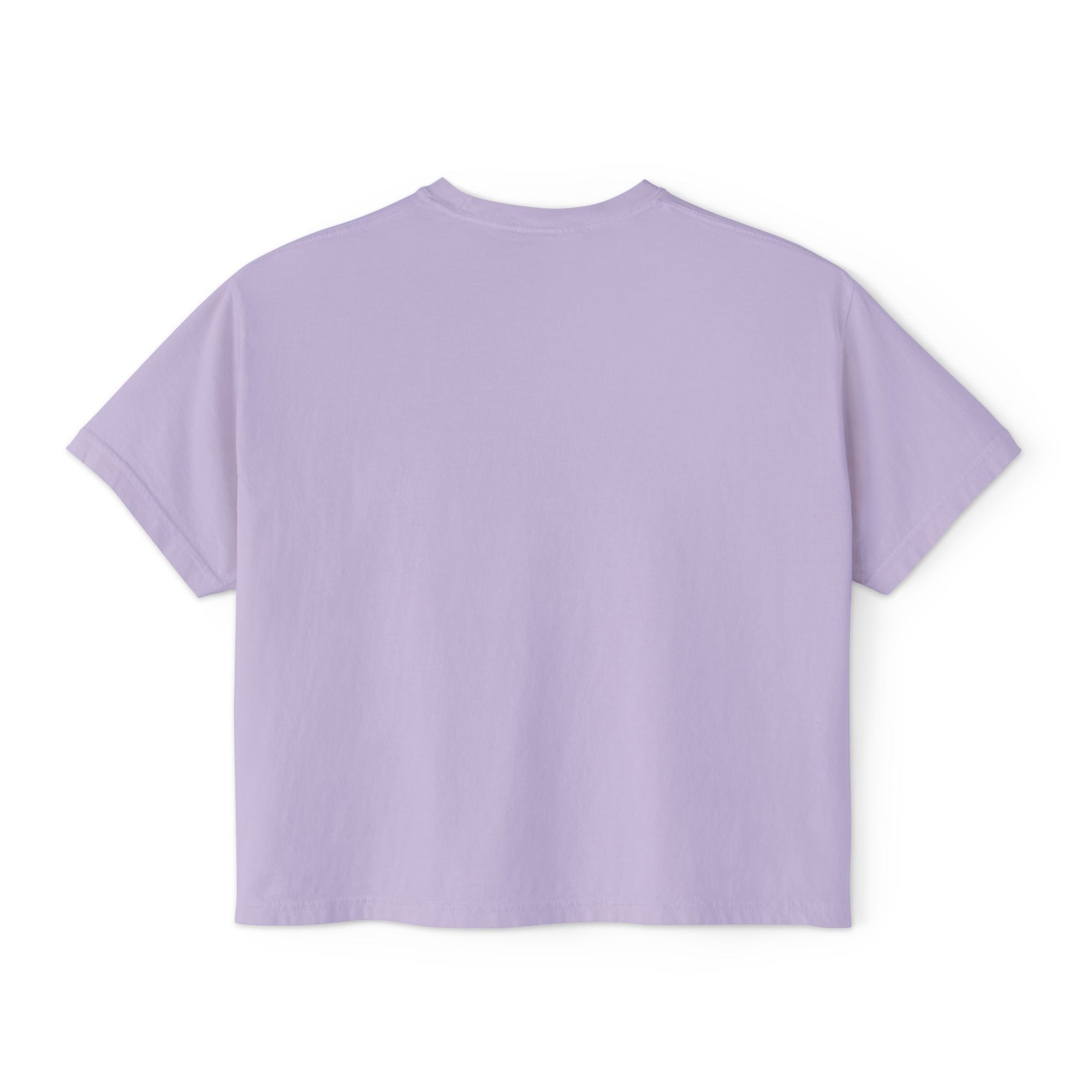 Spook o rama cropped tee