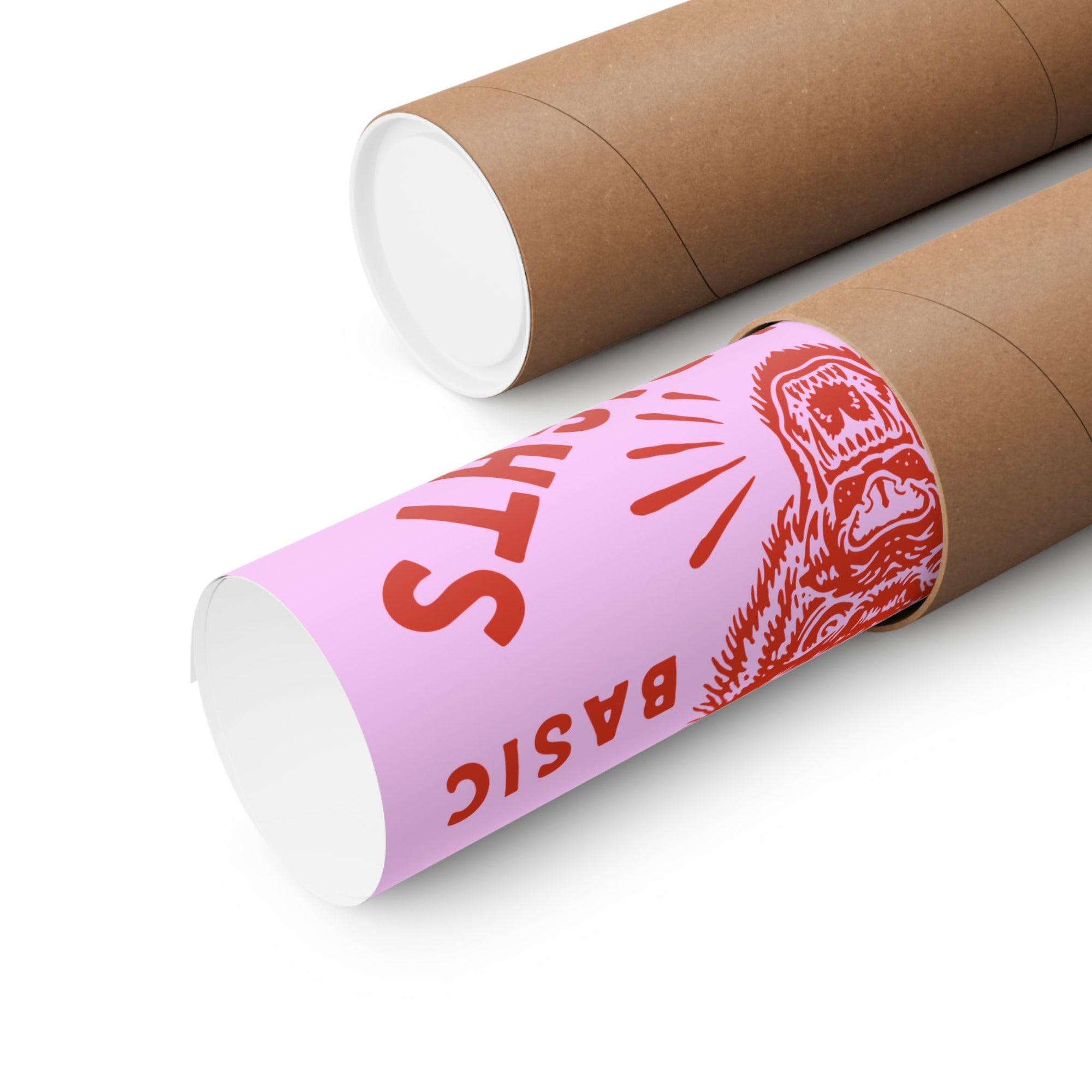 Women For Basic Human Rights Matte Poster