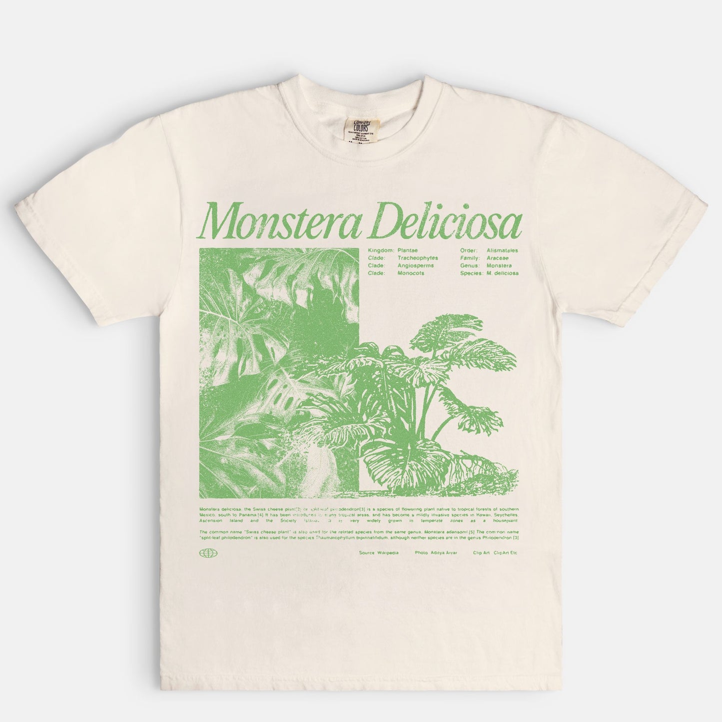 Monstera Tee