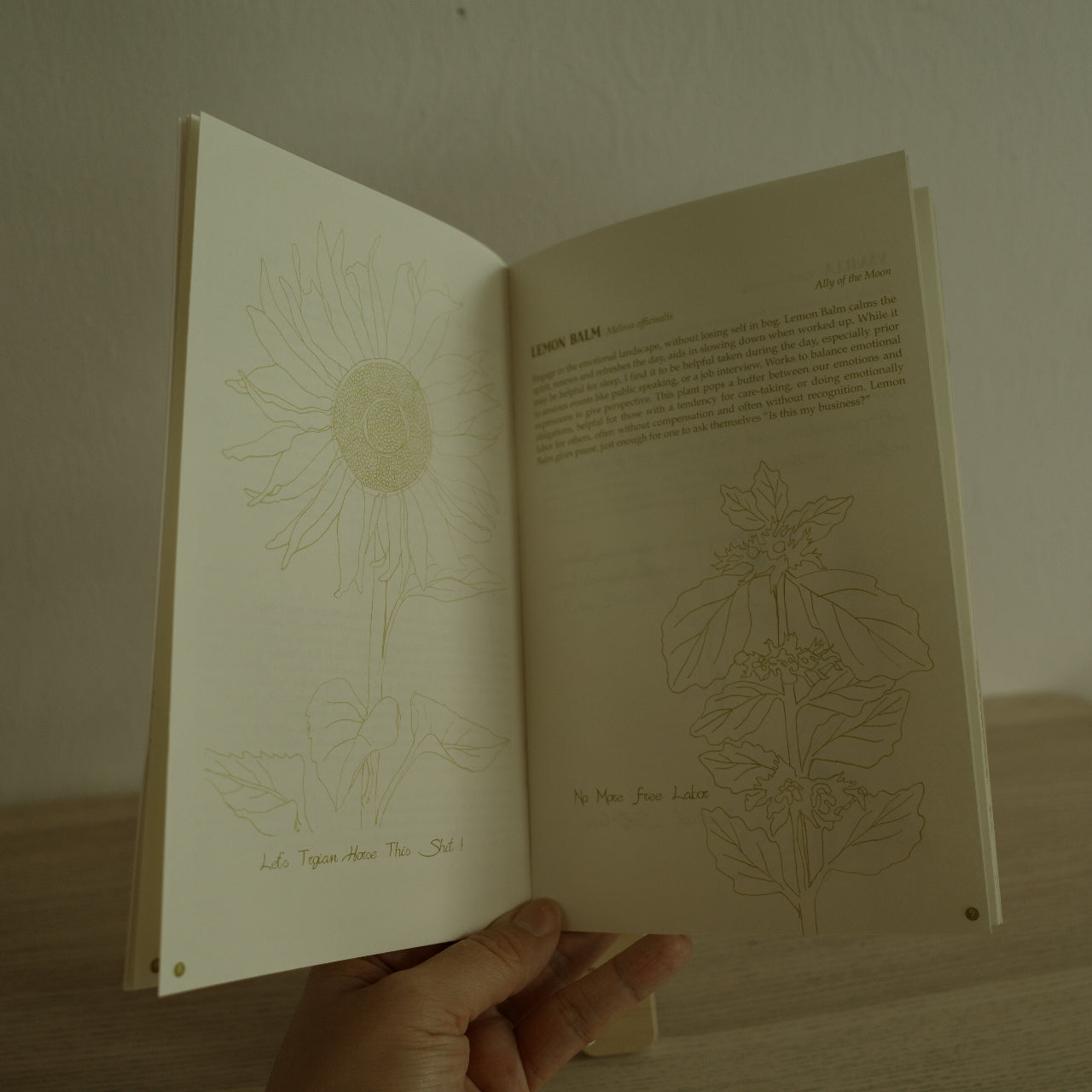 Plants Against the Patriarchy Zine