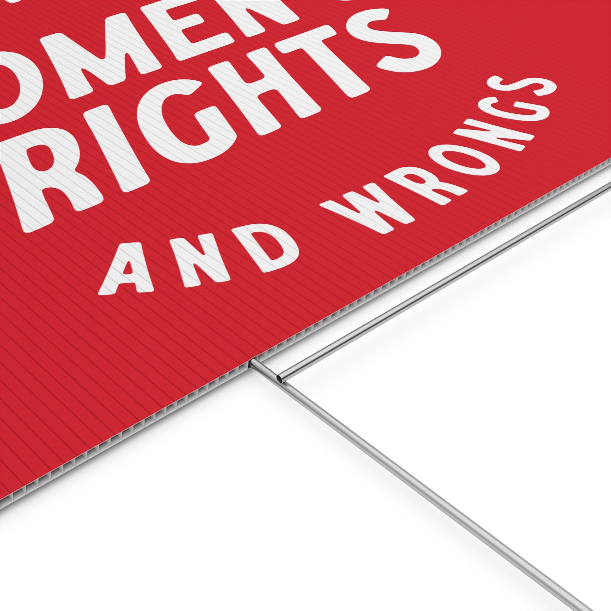 I support womens rights and wrongs sign