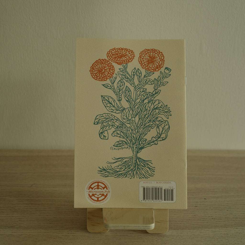 Herbal First Aid: Assembling a Natural First Aid Kit Zine