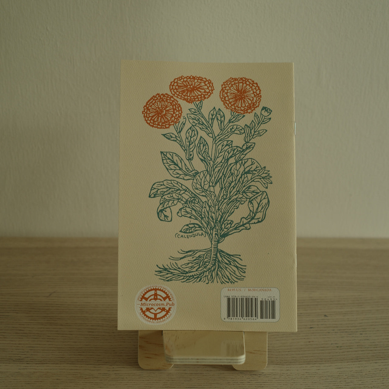 Herbal First Aid: Assembling a Natural First Aid Kit Zine