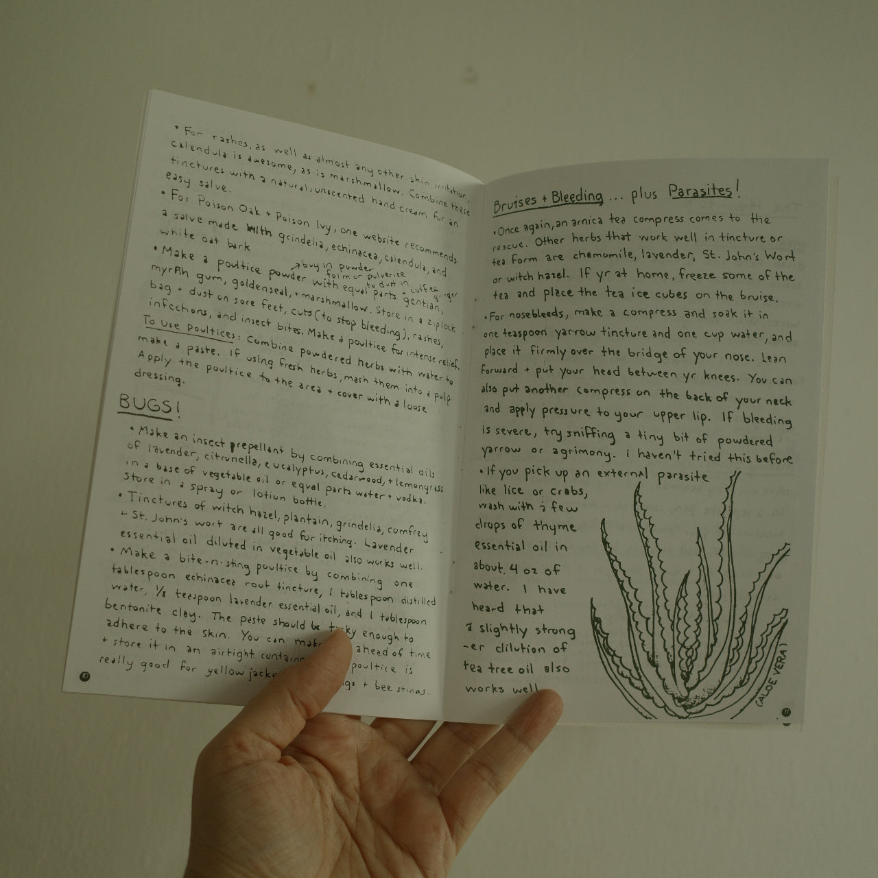 Herbal First Aid: Assembling a Natural First Aid Kit Zine
