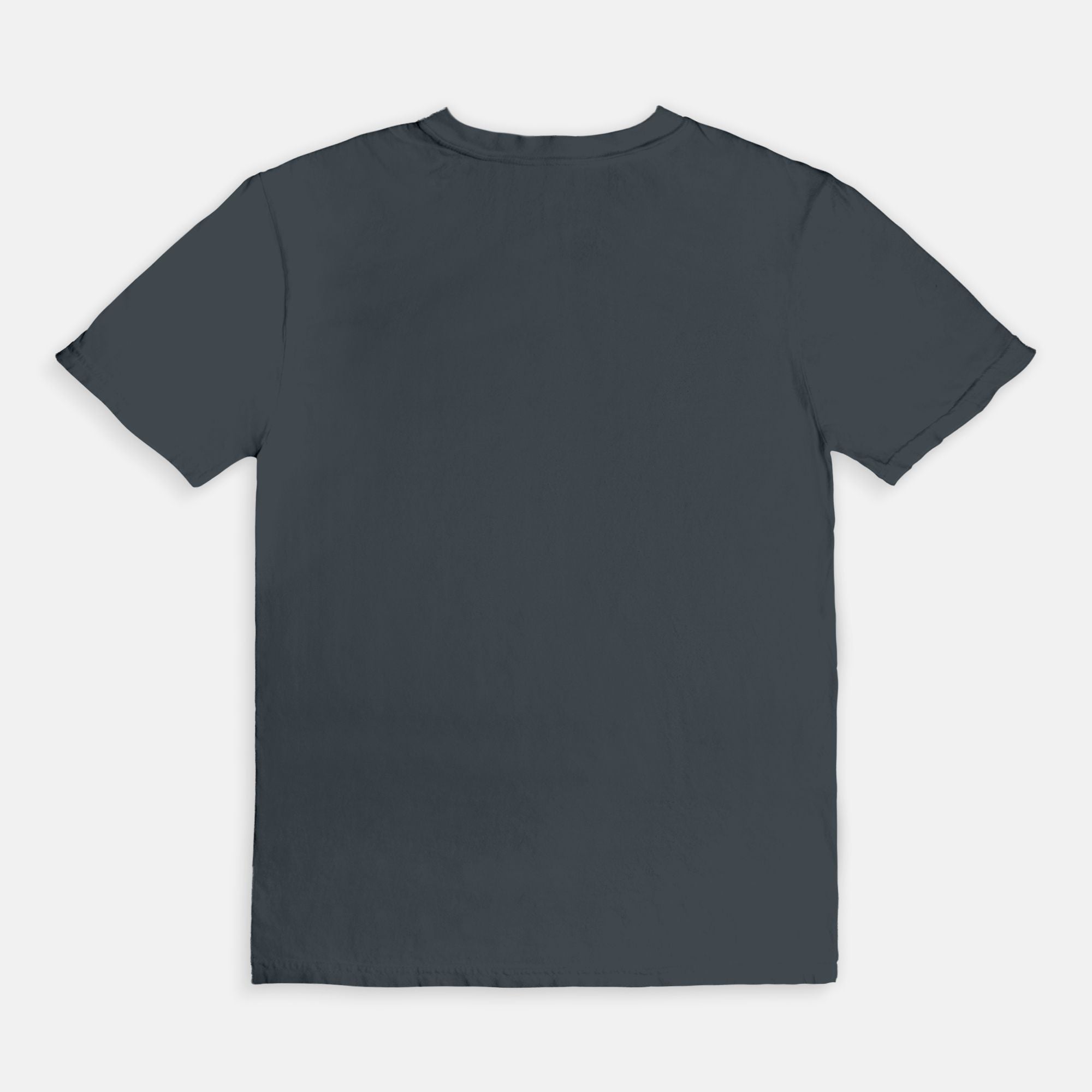 WTB Rebel Bike Rally Tee