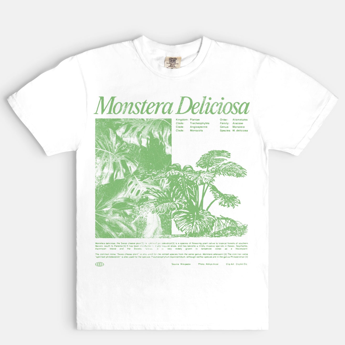 Monstera Tee