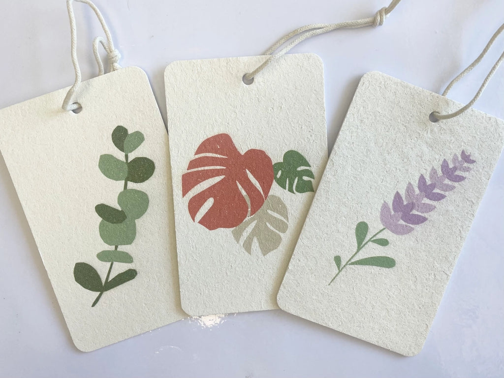 Eco Sponge - 3 Pack