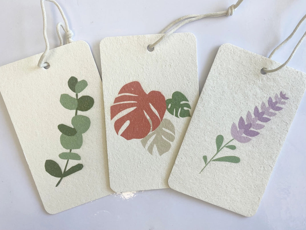 Eco Sponge - 3 Pack