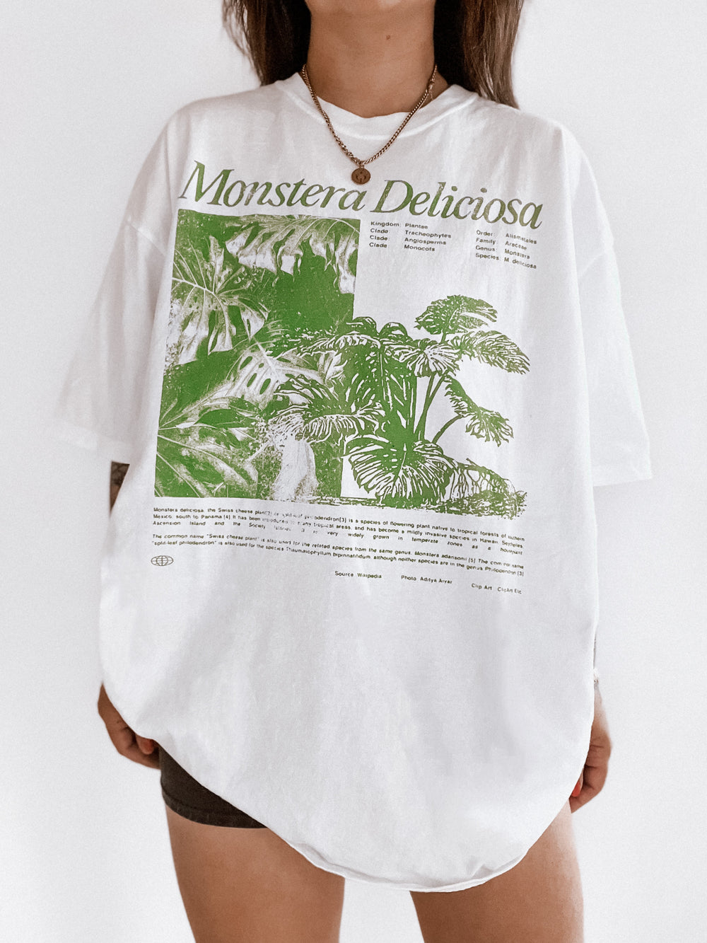 Monstera Tee